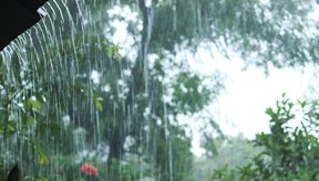 Imagem Promessa de muita chuva nesse começo de janeiro para o Piauí