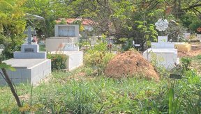Imagem População Reclama da Falta de Limpeza nos Cemitérios da Capital no dia de Finados