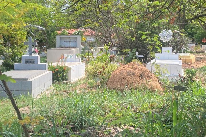 Imagem População Reclama da Falta de Limpeza nos Cemitérios da Capital no dia de Finados