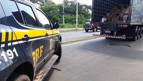 Imagem Carros são apreendidos com carga avaliada em mais de R$ 500 mil