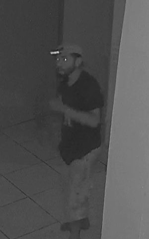 Imagem Bandido entra em loja de celular e rouba 8 celulares, em Altos